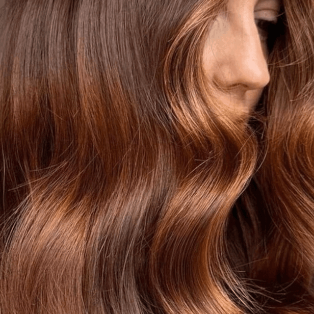 Bi-Weekly Refresh Blowout